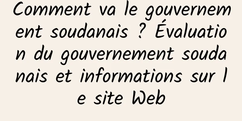 Comment va le gouvernement soudanais ? Évaluation du gouvernement soudanais et informations sur le site Web