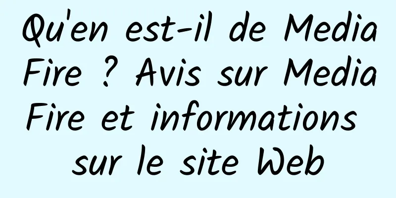 Qu'en est-il de MediaFire ? Avis sur MediaFire et informations sur le site Web