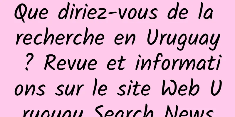 Que diriez-vous de la recherche en Uruguay ? Revue et informations sur le site Web Uruguay Search News