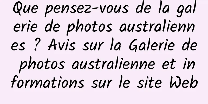 Que pensez-vous de la galerie de photos australiennes ? Avis sur la Galerie de photos australienne et informations sur le site Web