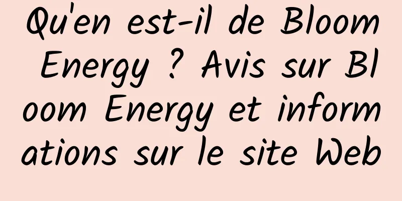 Qu'en est-il de Bloom Energy ? Avis sur Bloom Energy et informations sur le site Web