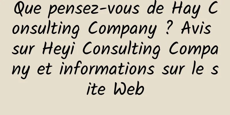 Que pensez-vous de Hay Consulting Company ? Avis sur Heyi Consulting Company et informations sur le site Web