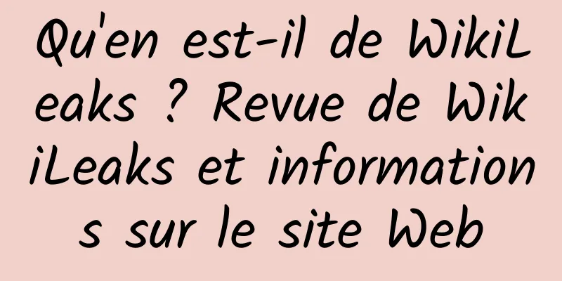 Qu'en est-il de WikiLeaks ? Revue de WikiLeaks et informations sur le site Web
