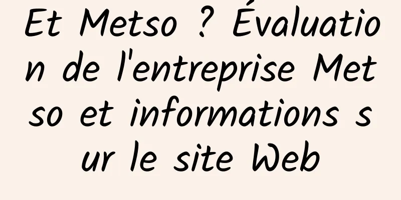 Et Metso ? Évaluation de l'entreprise Metso et informations sur le site Web