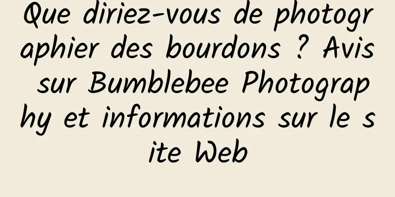 Que diriez-vous de photographier des bourdons ? Avis sur Bumblebee Photography et informations sur le site Web