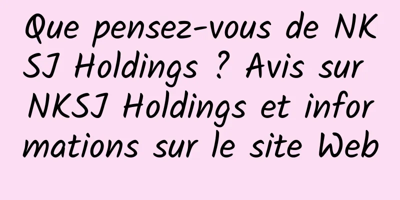 Que pensez-vous de NKSJ Holdings ? Avis sur NKSJ Holdings et informations sur le site Web