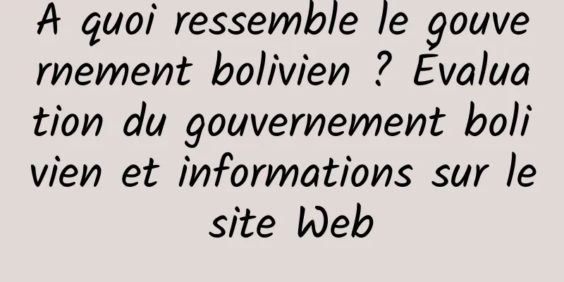 À quoi ressemble le gouvernement bolivien ? Évaluation du gouvernement bolivien et informations sur le site Web