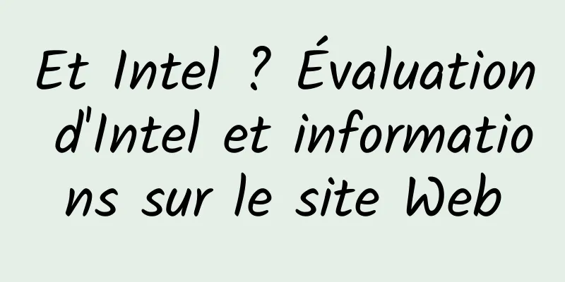 Et Intel ? Évaluation d'Intel et informations sur le site Web