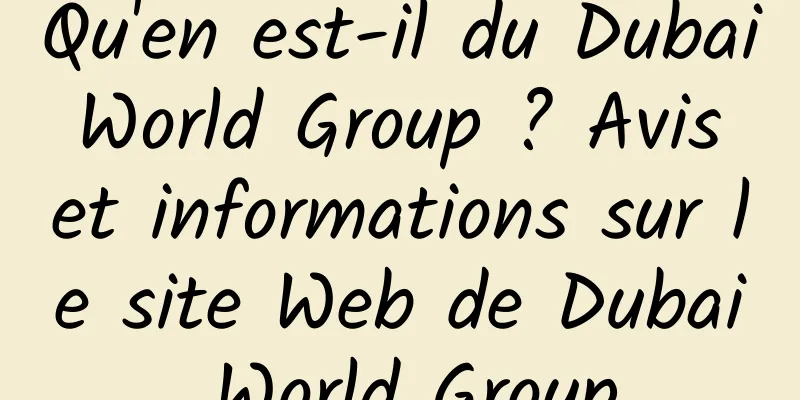 Qu'en est-il du Dubai World Group ? Avis et informations sur le site Web de Dubai World Group