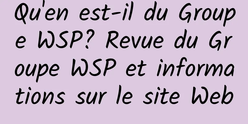 Qu'en est-il du Groupe WSP? Revue du Groupe WSP et informations sur le site Web