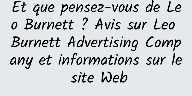 Et que pensez-vous de Leo Burnett ? Avis sur Leo Burnett Advertising Company et informations sur le site Web