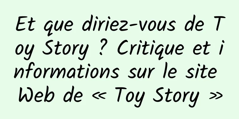 Et que diriez-vous de Toy Story ? Critique et informations sur le site Web de « Toy Story »