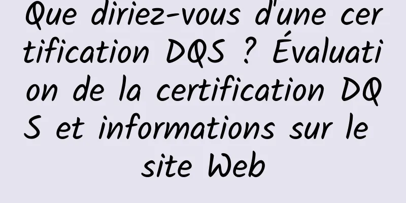 Que diriez-vous d'une certification DQS ? Évaluation de la certification DQS et informations sur le site Web