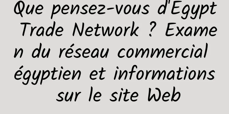 Que pensez-vous d'Egypt Trade Network ? Examen du réseau commercial égyptien et informations sur le site Web