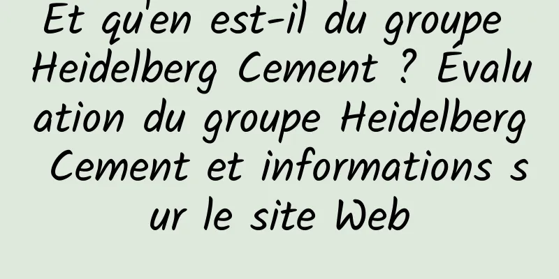 Et qu'en est-il du groupe Heidelberg Cement ? Évaluation du groupe Heidelberg Cement et informations sur le site Web