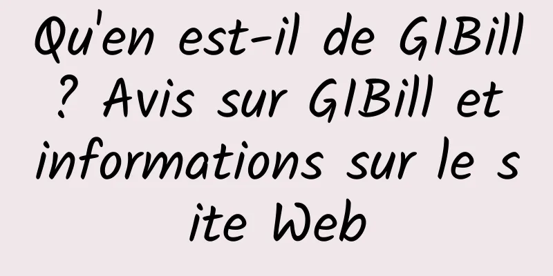 Qu'en est-il de GIBill ? Avis sur GIBill et informations sur le site Web