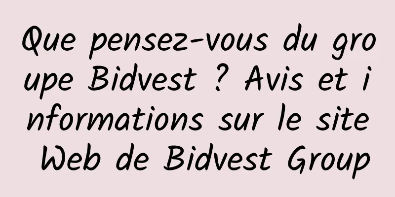 Que pensez-vous du groupe Bidvest ? Avis et informations sur le site Web de Bidvest Group