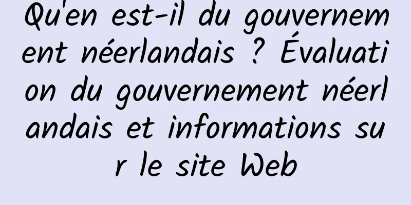 Qu'en est-il du gouvernement néerlandais ? Évaluation du gouvernement néerlandais et informations sur le site Web
