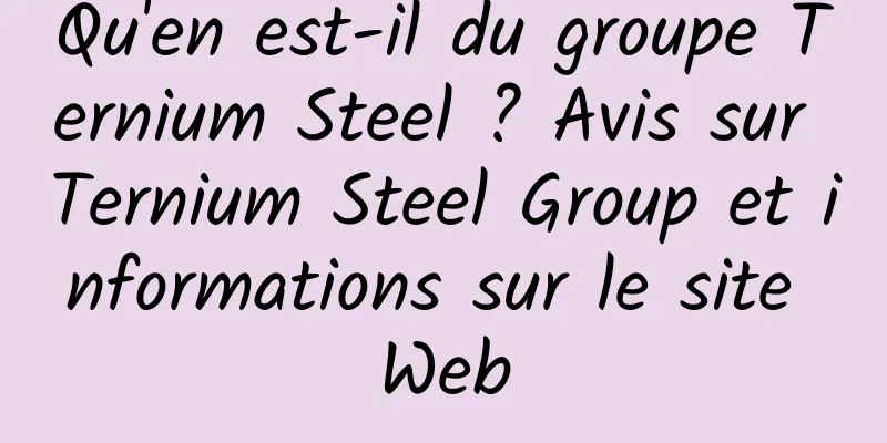 Qu'en est-il du groupe Ternium Steel ? Avis sur Ternium Steel Group et informations sur le site Web