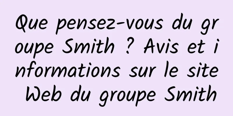 Que pensez-vous du groupe Smith ? Avis et informations sur le site Web du groupe Smith