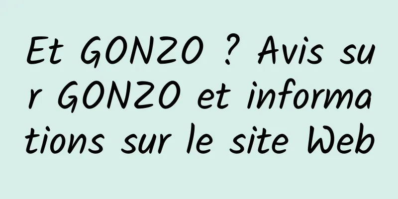 Et GONZO ? Avis sur GONZO et informations sur le site Web
