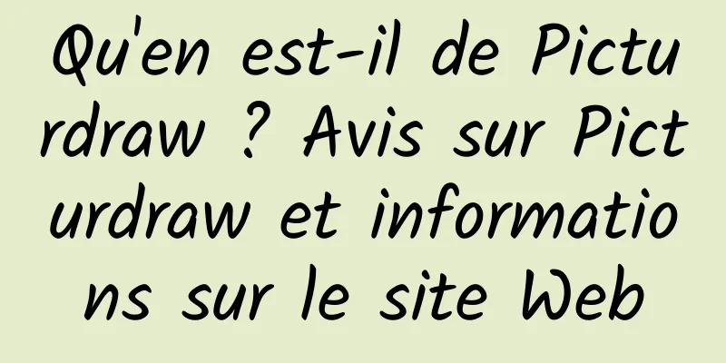 Qu'en est-il de Picturdraw ? Avis sur Picturdraw et informations sur le site Web