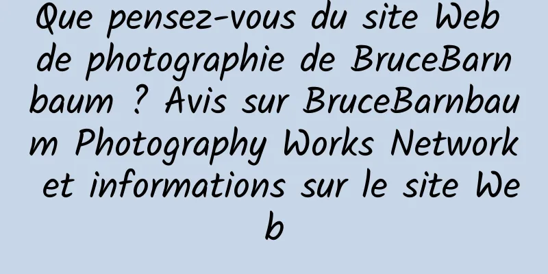 Que pensez-vous du site Web de photographie de BruceBarnbaum ? Avis sur BruceBarnbaum Photography Works Network et informations sur le site Web