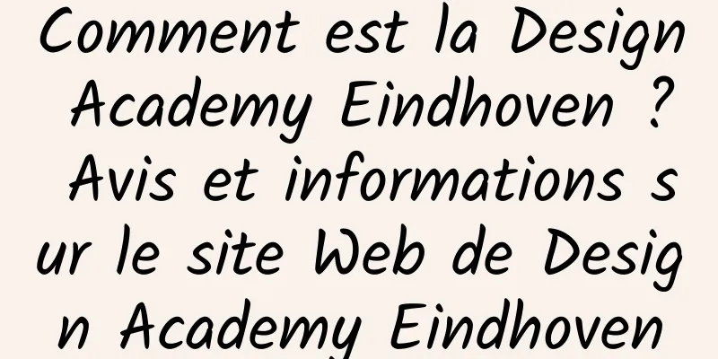Comment est la Design Academy Eindhoven ? Avis et informations sur le site Web de Design Academy Eindhoven