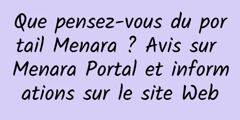 Que pensez-vous du portail Menara ? Avis sur Menara Portal et informations sur le site Web