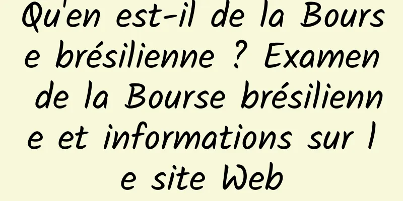Qu'en est-il de la Bourse brésilienne ? Examen de la Bourse brésilienne et informations sur le site Web