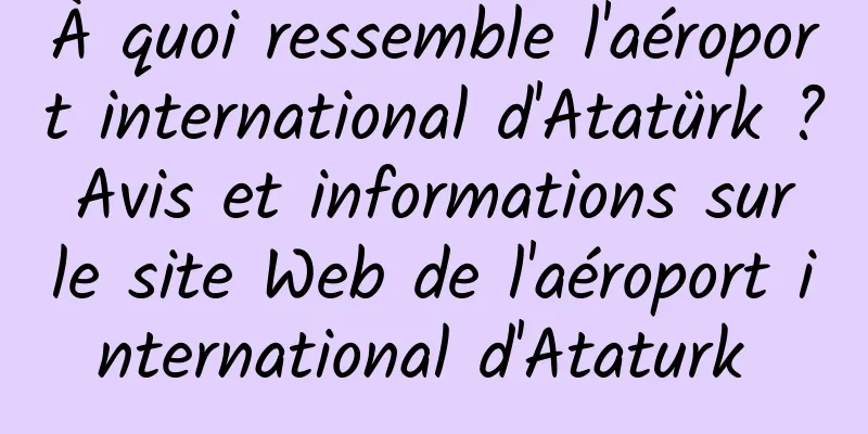 À quoi ressemble l'aéroport international d'Atatürk ? Avis et informations sur le site Web de l'aéroport international d'Ataturk 