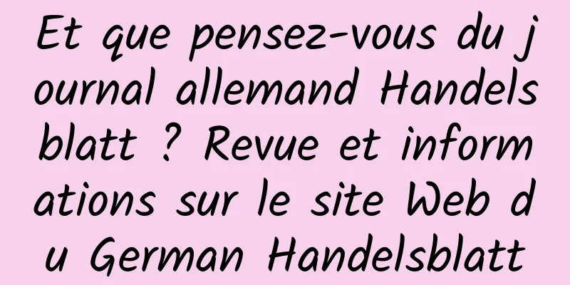 Et que pensez-vous du journal allemand Handelsblatt ? Revue et informations sur le site Web du German Handelsblatt