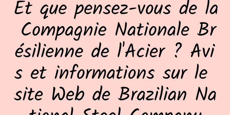 Et que pensez-vous de la Compagnie Nationale Brésilienne de l'Acier ? Avis et informations sur le site Web de Brazilian National Steel Company