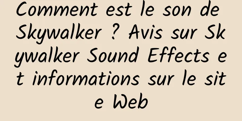 Comment est le son de Skywalker ? Avis sur Skywalker Sound Effects et informations sur le site Web