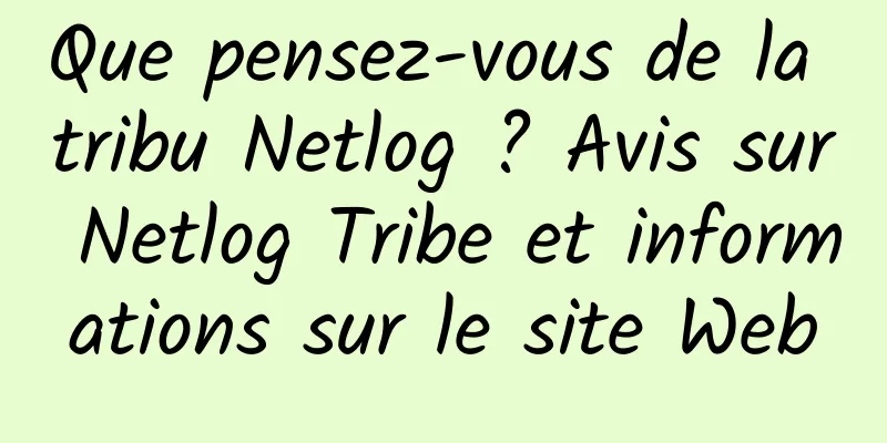 Que pensez-vous de la tribu Netlog ? Avis sur Netlog Tribe et informations sur le site Web