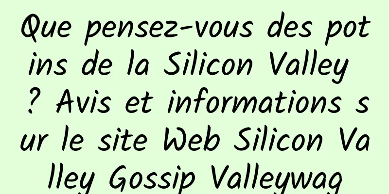 Que pensez-vous des potins de la Silicon Valley ? Avis et informations sur le site Web Silicon Valley Gossip Valleywag
