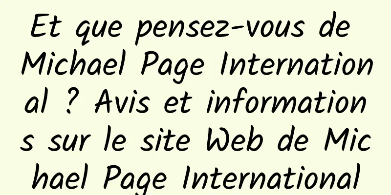 Et que pensez-vous de Michael Page International ? Avis et informations sur le site Web de Michael Page International