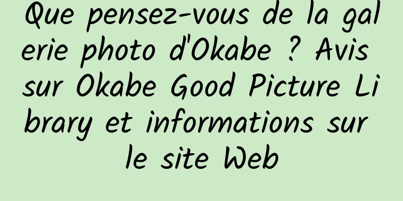Que pensez-vous de la galerie photo d'Okabe ? Avis sur Okabe Good Picture Library et informations sur le site Web