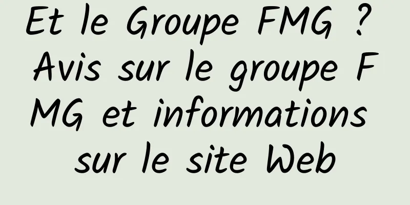 Et le Groupe FMG ? Avis sur le groupe FMG et informations sur le site Web