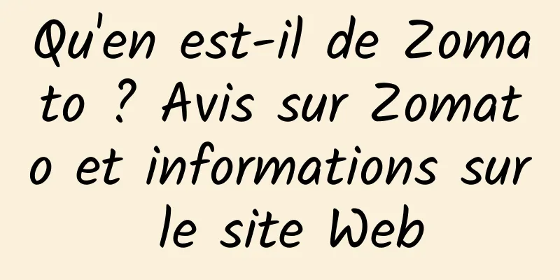 Qu'en est-il de Zomato ? Avis sur Zomato et informations sur le site Web
