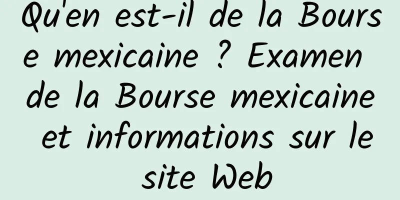 Qu'en est-il de la Bourse mexicaine ? Examen de la Bourse mexicaine et informations sur le site Web