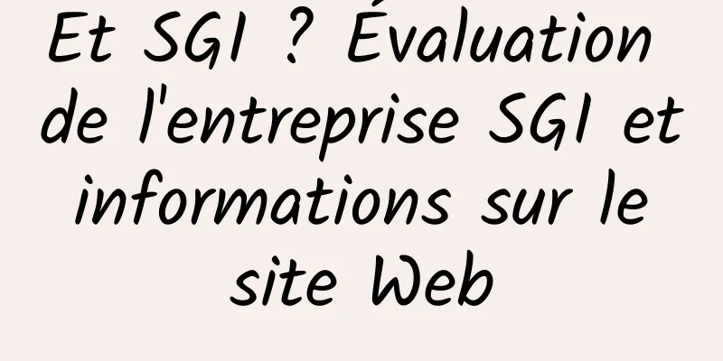 Et SGI ? Évaluation de l'entreprise SGI et informations sur le site Web