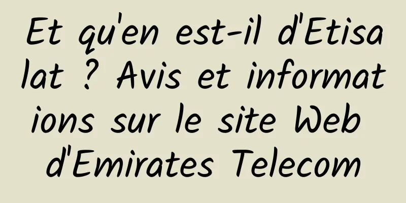Et qu'en est-il d'Etisalat ? Avis et informations sur le site Web d'Emirates Telecom
