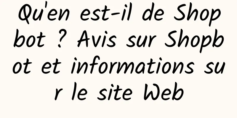 Qu'en est-il de Shopbot ? Avis sur Shopbot et informations sur le site Web