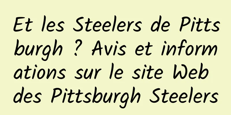 Et les Steelers de Pittsburgh ? Avis et informations sur le site Web des Pittsburgh Steelers