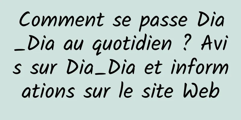 Comment se passe Dia_Dia au quotidien ? Avis sur Dia_Dia et informations sur le site Web