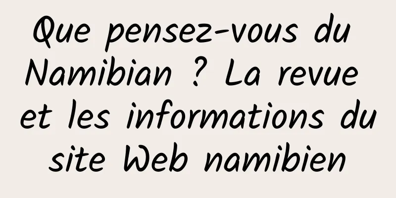 Que pensez-vous du Namibian ? La revue et les informations du site Web namibien 