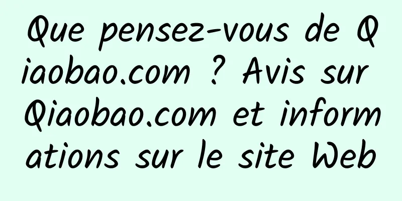Que pensez-vous de Qiaobao.com ? Avis sur Qiaobao.com et informations sur le site Web