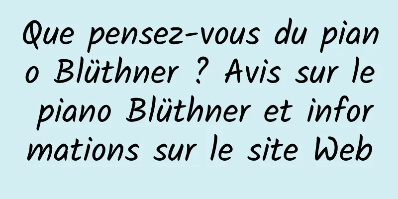 Que pensez-vous du piano Blüthner ? Avis sur le piano Blüthner et informations sur le site Web