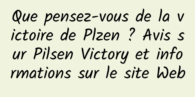 Que pensez-vous de la victoire de Plzen ? Avis sur Pilsen Victory et informations sur le site Web